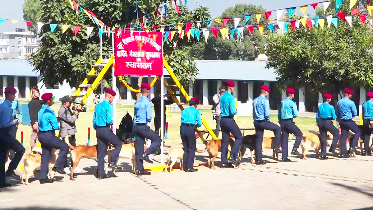 Nepal police_Moment ानबलद1666600685.jpg